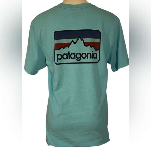Patagonia Other - Patagonia Teal / Aqua Logo Tee size M regular fit..